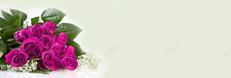 紫色玫瑰花背景jpg设计背景_88icon https://88icon.com 横幅背景 玫瑰花 情人节 海报banner 摄影 全屏banner背景 风景