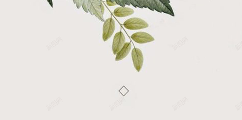 手绘花朵插画背景图jpg设计背景_88icon https://88icon.com 圆形框 手绘 插画 文艺 植物 浅灰色 绿叶 花朵