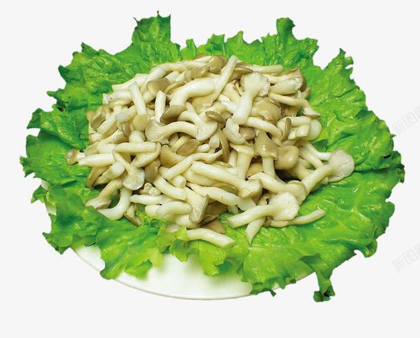 火锅中的蘑菇png免抠素材_88icon https://88icon.com 产品实物 材料 火锅食材 美食 菌类 蔬菜