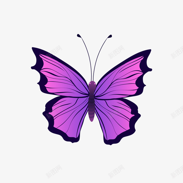 紫色梦幻风蝴蝶png免抠素材_88icon https://88icon.com 紫色 梦幻 蝴蝶 手绘