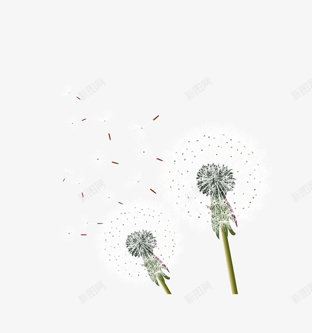 彩色唯美清新蒲公英矢量图eps免抠素材_88icon https://88icon.com 唯美清新 彩色蒲公英 矢量蒲公英 蒲公英 矢量图