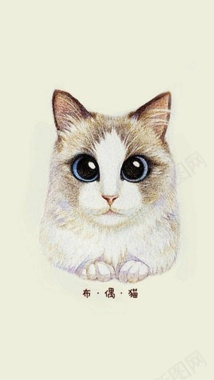 可爱猫咪H5背景背景图片 可爱猫咪H5背景背景