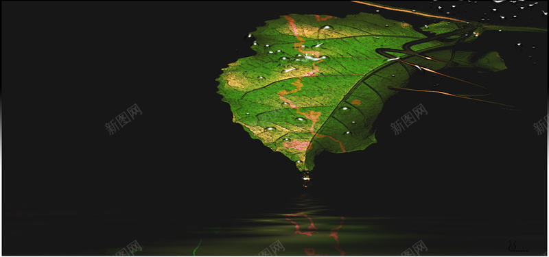 绿叶纹理水珠线条黑色背景jpg设计背景_88icon https://88icon.com 水珠 纹理 线条 绿叶 黑色 背景 海报banner 质感