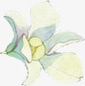 白色花朵手绘小白花png免抠素材_88icon https://88icon.com 小白花 手绘 白色 花朵