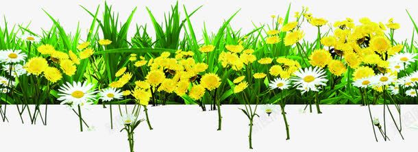 黄白色清新夏季花朵png免抠素材_88icon https://88icon.com 夏季 清新 花朵 黄白色