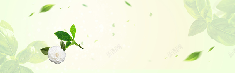 初夏扁平绿色树叶bannerpsd设计背景_88icon https://88icon.com anner banner 促销 初夏 女装 扁平 打折 服装 树叶 活动 绿色 黄底