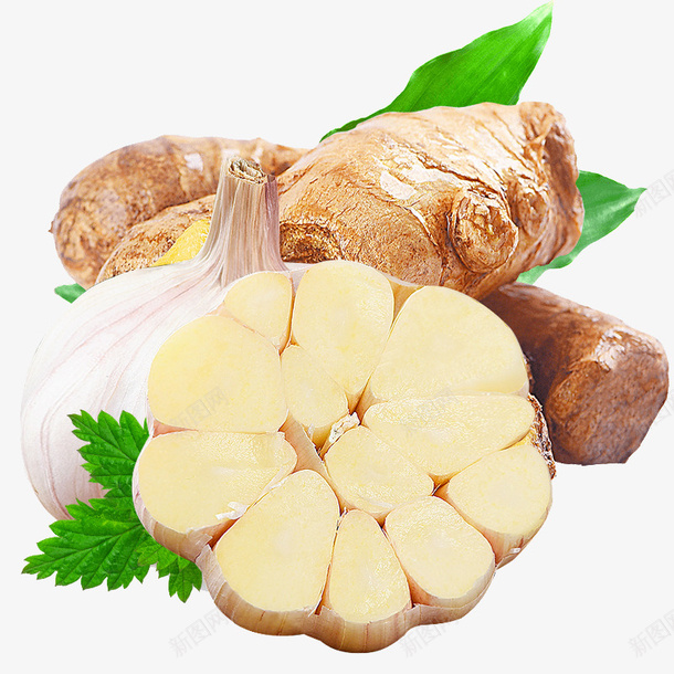 生姜大蒜调料品png免抠素材_88icon https://88icon.com 厨房调料品 大蒜 生姜 蒜蓉