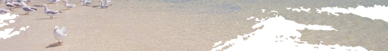 旅游摄影大赛海报背景psd设计背景_88icon https://88icon.com 大气 宣传摄影 摄影大赛 摄影技巧 摄影海报 摄影背景 文艺 旅游摄影 有趣 选美大赛