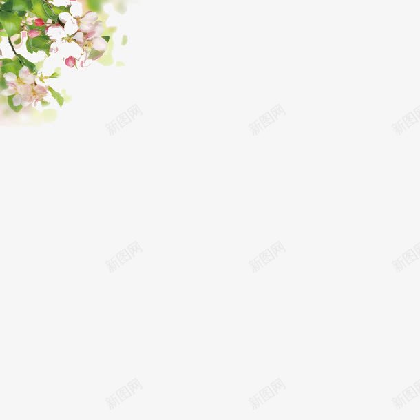 唯美清新蔷薇花png免抠素材_88icon https://88icon.com 亲子教育 亲子教育宣传 唯美 清新 蔷薇花