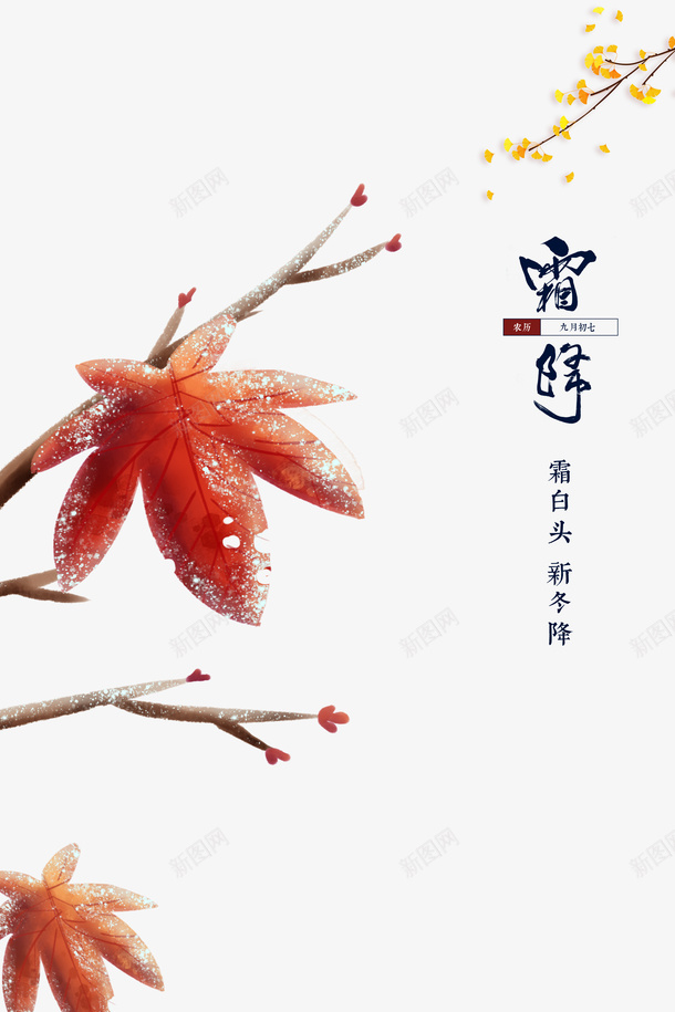 霜降节气手绘枫叶树枝元素图psd免抠素材_88icon https://88icon.com 元素图 手绘 枫叶 树枝 水彩 艺术字 节气 银杏叶 霜降