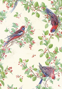 花鸟中国风背景图背景图片 花鸟中国风背景图背景