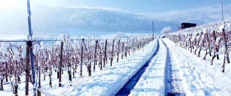 冬季雪地淘宝背景jpg设计背景_88icon https://88icon.com 冬季 雪地 公路 寒冷 海报banner 淘宝 摄影 风景