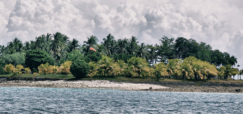 热带海边背景淘宝女装鞋靴jpg设计背景_88icon https://88icon.com 旅游 度假 椰树 海水 海报banner 摄影 风景