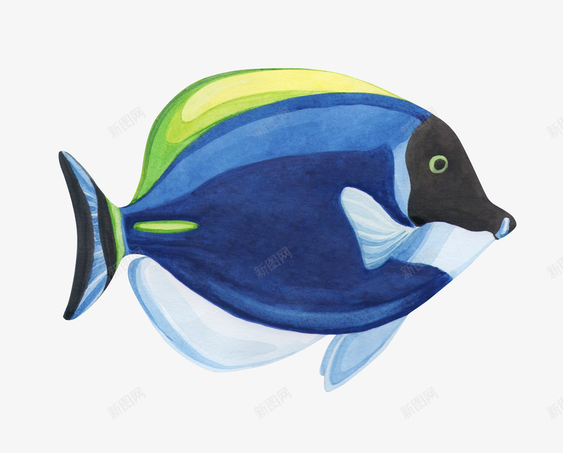 海底世界鱼动物北欧png免抠素材_88icon https://88icon.com 海底 世界 动物 北欧