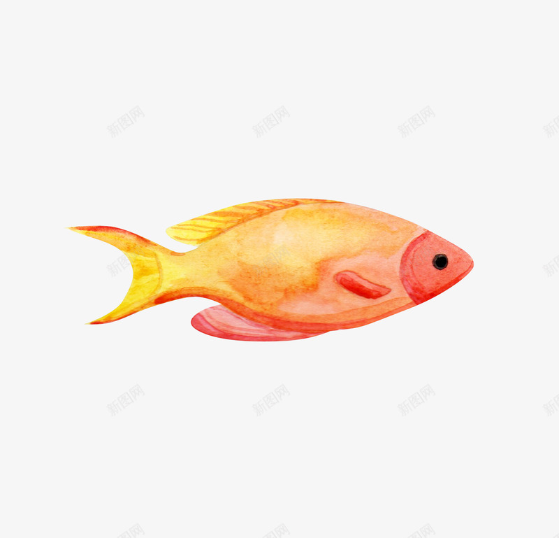 海底世界鱼动物北欧png免抠素材_88icon https://88icon.com 海底 世界 动物 北欧