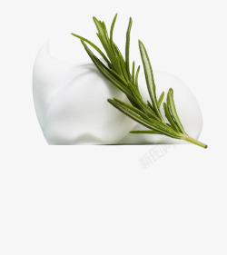 洁面泡沫复活草png图片下载 洁面泡沫复活草素材