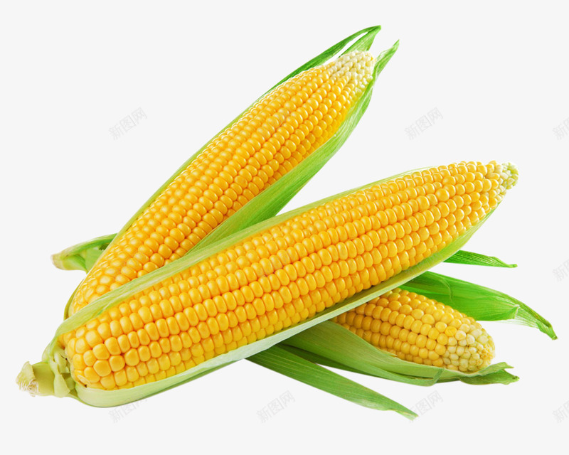 玉米玉米剥玉米蔬菜食物美食透明8蔬菜水png免抠素材_88icon https://88icon.com 玉米 美食 蔬菜 透明 食物