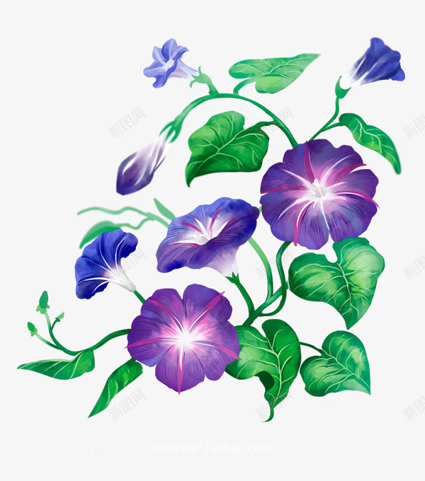 手绘紫色牵牛花鲜花树叶画画的春哥png免抠素材_88icon https://88icon.com 手绘 紫色 牵牛花 鲜花 树叶 画画 画的 春哥