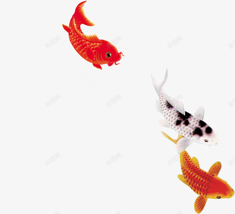 锦鲤卡通手绘水墨鲤鱼新年免扣免扣png免抠素材_88icon https://88icon.com 免扣 锦鲤 卡通 手绘 水墨 鲤鱼 新年