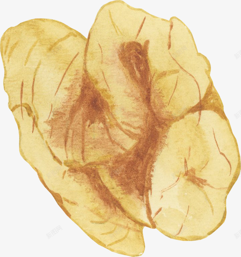 手绘水彩坚果动植物壁纸动植物壁纸png免抠素材_88icon https://88icon.com 动植物 壁纸 手绘 水彩 坚果