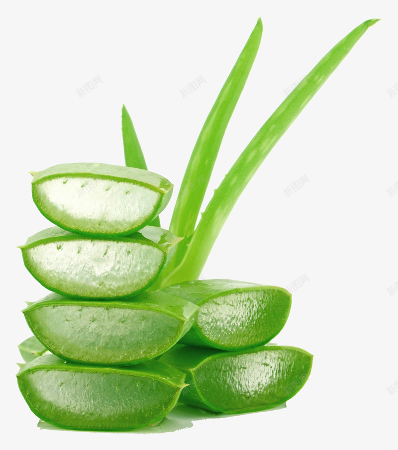佑佑佑小溪图绿色植物化妆品食品芦荟芦荟胶绿色植物叶png免抠素材_88icon https://88icon.com 绿色植物 芦荟 佑佑 小溪 化妆品 食品