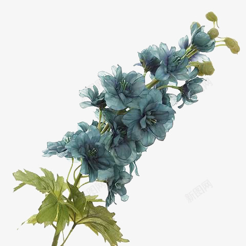 中国古风水墨花手绘水彩植物花卉装饰透明ps400中png免抠素材_88icon https://88icon.com 中国 古风 水墨 手绘 水彩 植物 花卉 装饰 透明 ps400