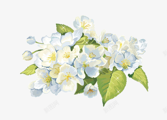 精美超清栀子花真花矢量素材png免抠素材_88icon https://88icon.com 真花 栀子花 白花 绿叶 植物