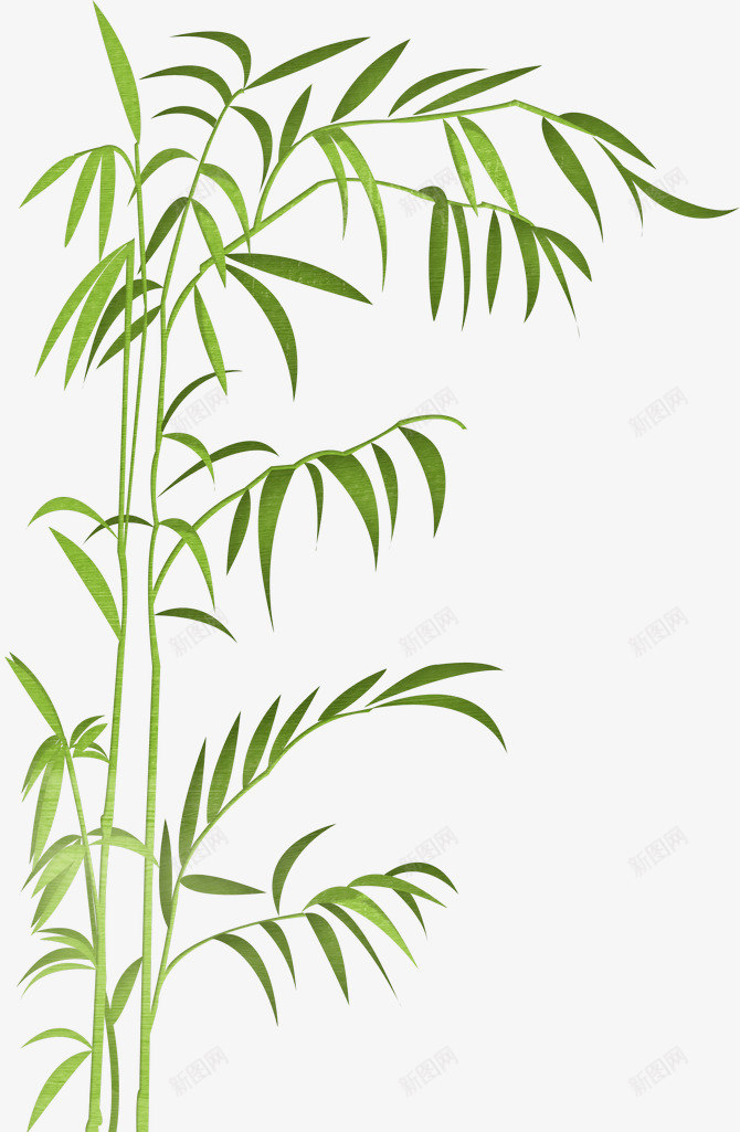草类植物绿叶藤蔓叶子花朵薰衣草玫瑰花植物花草类丶png免抠素材_88icon https://88icon.com 草类 植物 绿叶 藤蔓 叶子 花朵 薰衣草 玫瑰花 花草