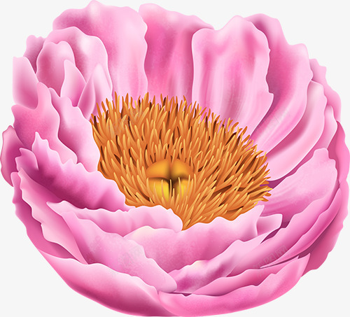 红牡丹图免扣花卉花瓣绿叶彩带等花卉玫瑰花植物花瓣郁png免抠素材_88icon https://88icon.com 花卉 花瓣 牡丹 图免 绿叶 彩带 玫瑰花 植物