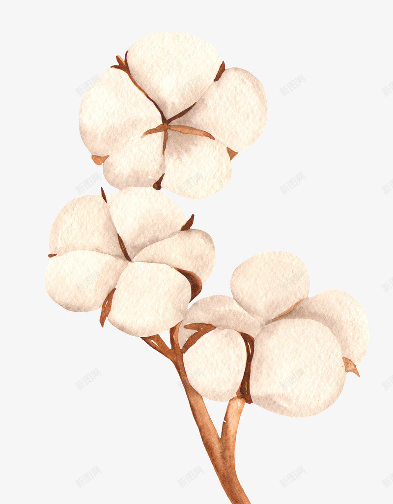 手绘水彩木棉花花卉植物透明免扣图案手账PS5手绘水png免抠素材_88icon https://88icon.com PS5 免扣 图案 手绘 手账 木棉花 木棉花树 植物 水彩 花卉 透明