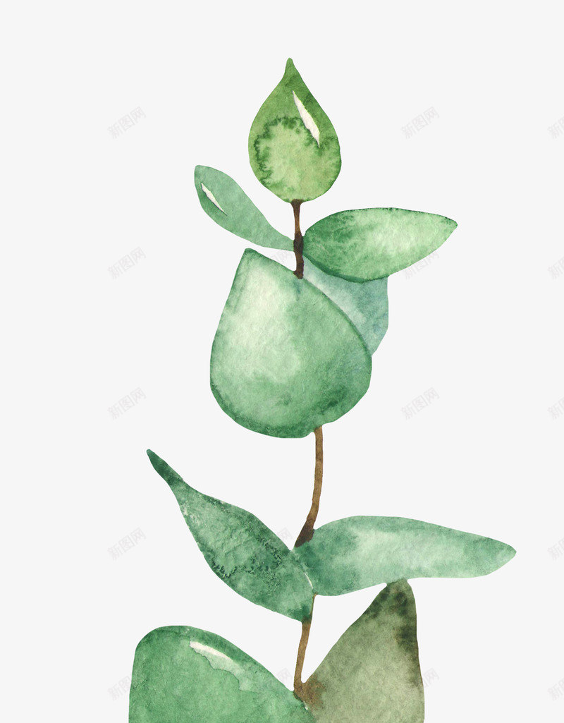 夏日水彩火烈鸟植物花卉唯美透明图案PS手账11夏日png免抠素材_88icon https://88icon.com 夏日 水彩 火烈 烈鸟 植物 花卉 唯美 透明 透明图 图案 PS