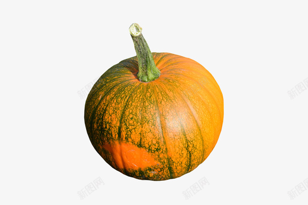 南瓜自然蔬菜食物美味png免抠素材_88icon https://88icon.com 自然 蔬菜 食物 美味