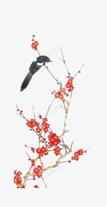 中国风工笔画梅花鸟png免抠素材_88icon https://88icon.com 中国风 工笔画 梅花 鸟