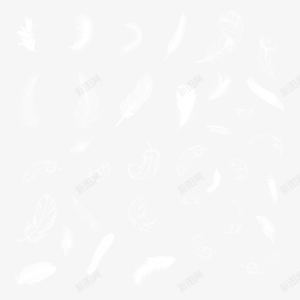 羽毛素材免抠png免抠素材_88icon https://88icon.com 免抠 漂浮 白羽毛 白色 羽毛 飘逸的羽毛