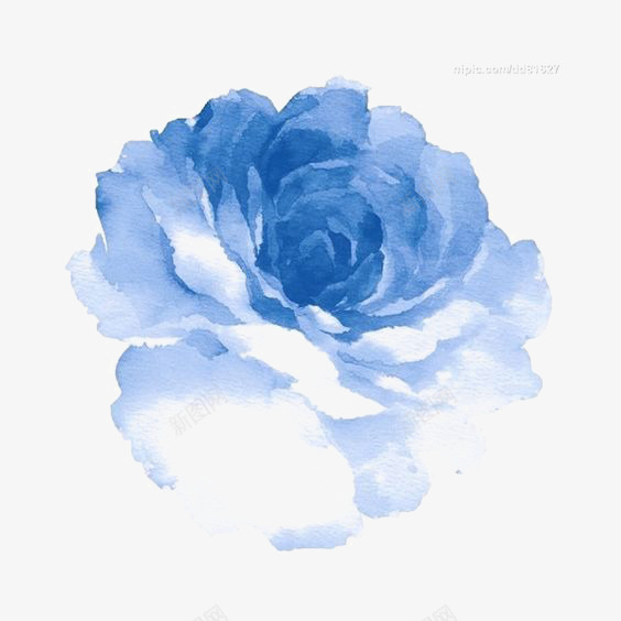 一朵蓝色花png免抠素材_88icon https://88icon.com 鲜花 花卉 花 花朵 玫瑰花 蓝色玫瑰花 植物 配图 白露