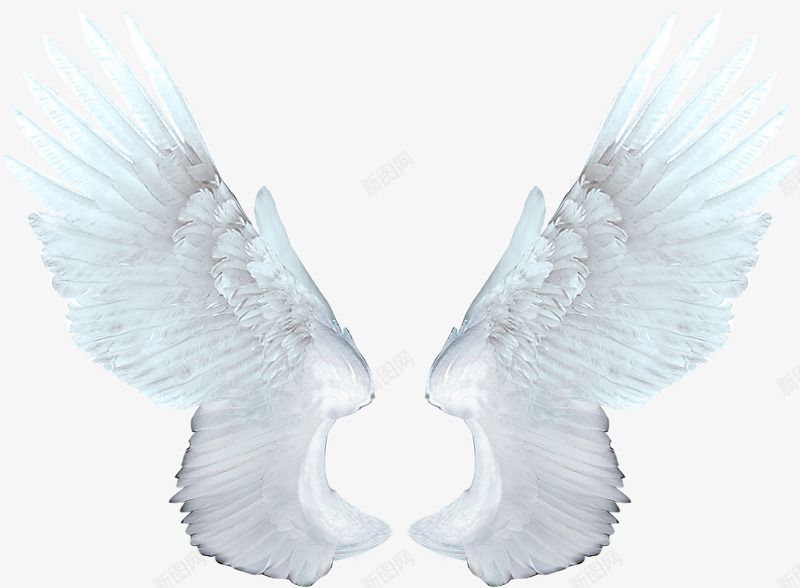 银灰色的翅膀png免抠素材_88icon https://88icon.com 白色 灰色 美丽 天使翅膀 展翅飞翔 彩色 渐变 炫光 翅膀 荧光