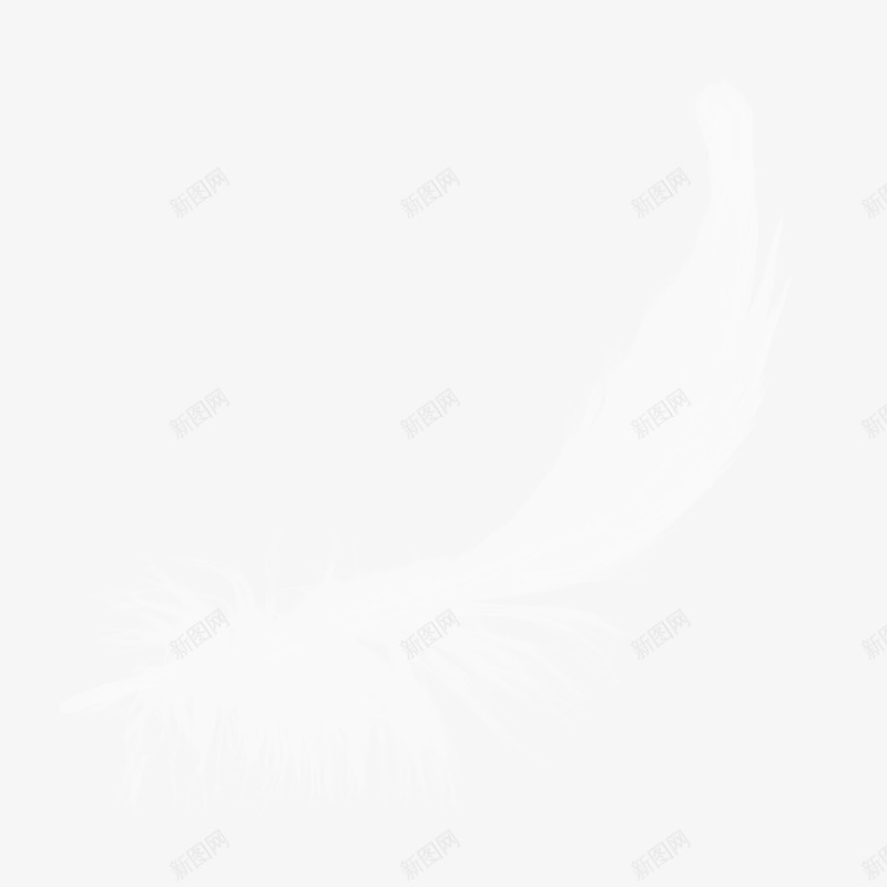 隐形的翅膀透明png免抠素材_88icon https://88icon.com 素材 翅膀 透明 隐形
