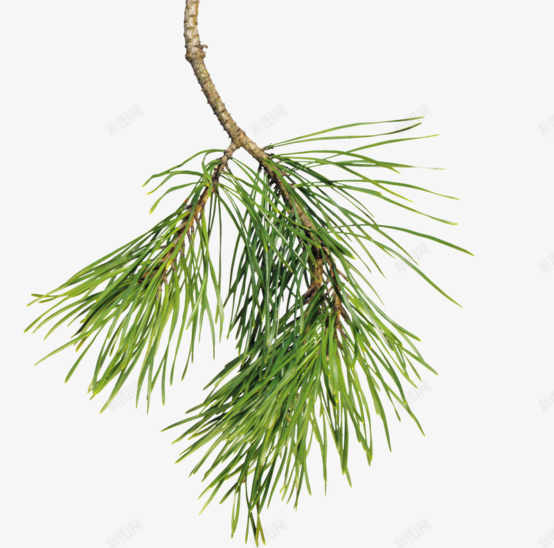 唯美冬季雪花飘雪景下雪PSD后期设计合成PS影楼新png免抠素材_88icon https://88icon.com 唯美 冬季 雪花 飘雪 雪景 下雪 PSD 后期 设计 合成 PS