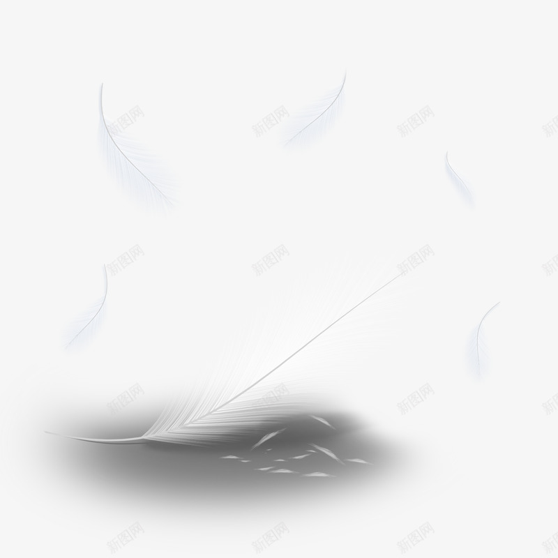 PS高清唯美羽毛透明PSD影楼婚纱照后期羽毛PS高png免抠素材_88icon https://88icon.com 羽毛 高清 唯美 透明 影楼 婚纱照 后期
