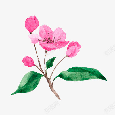 水彩樱花花卉图免扣手绘彩绘水彩插画png免抠素材_88icon https://88icon.com 水彩 樱花 花卉 图免 扣手 手绘 彩绘 插画