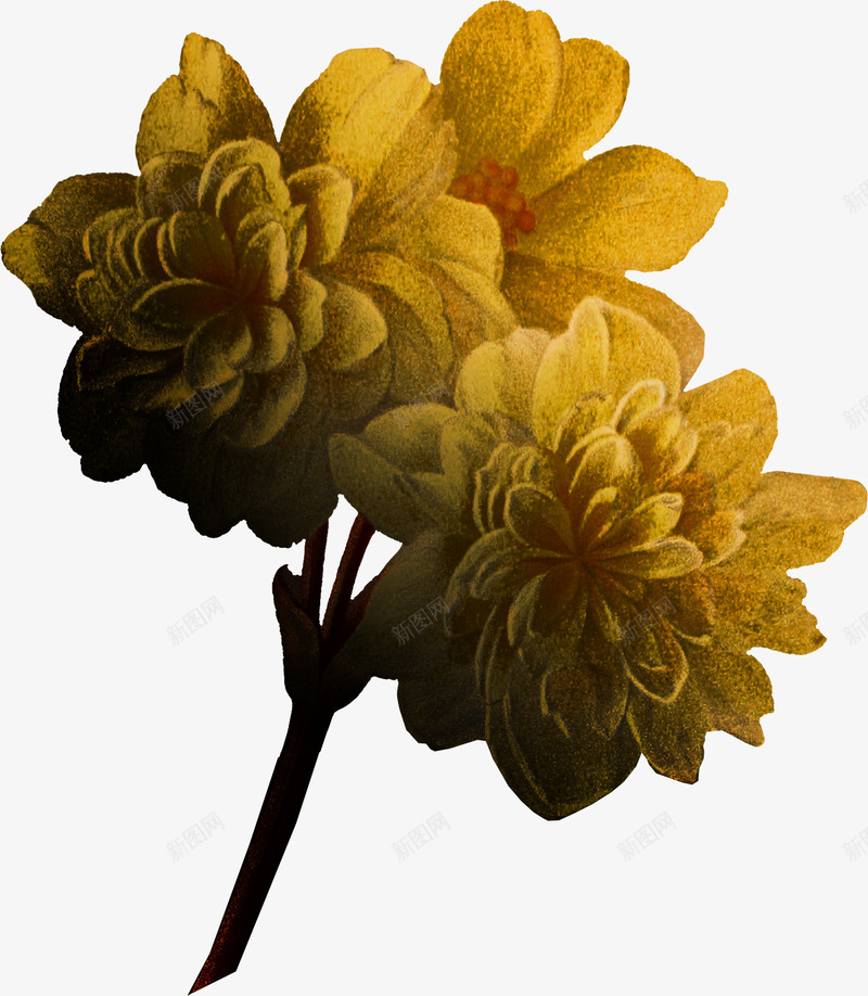 复古唯美花卉装饰字母边框贺卡请柬封面图案43复古唯png免抠素材_88icon https://88icon.com 复古 唯美 花卉 装饰 字母 边框 贺卡 请柬 封面 图案