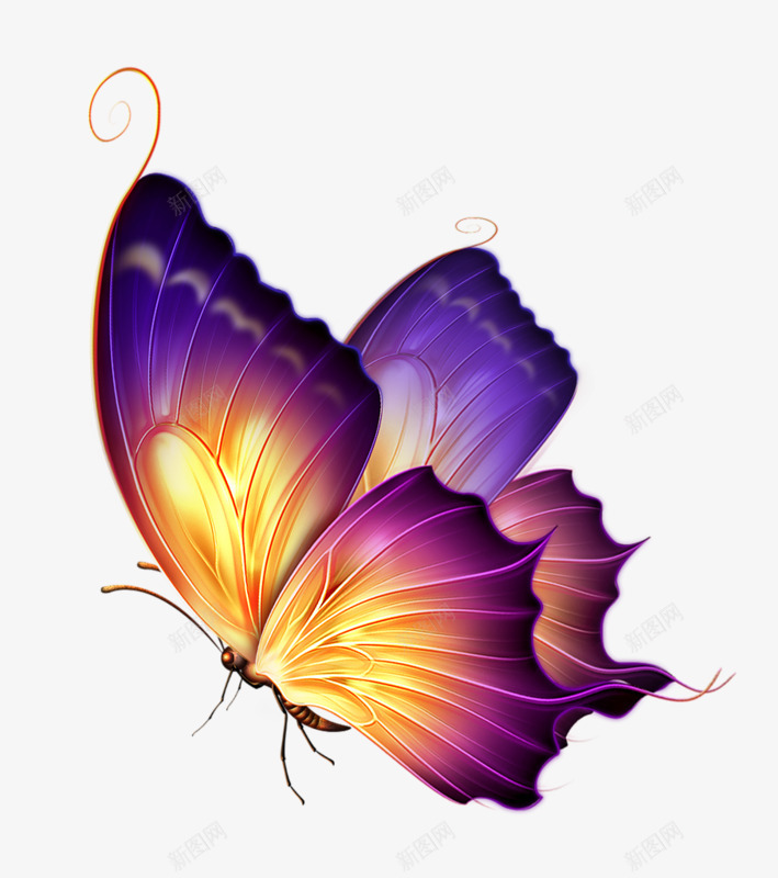 求眼角蝴蝶和高光看图霍景良吧百度贴吧png免抠素材_88icon https://88icon.com 眼角 蝴蝶 高光 看图 霍景 良吧 百度贴吧