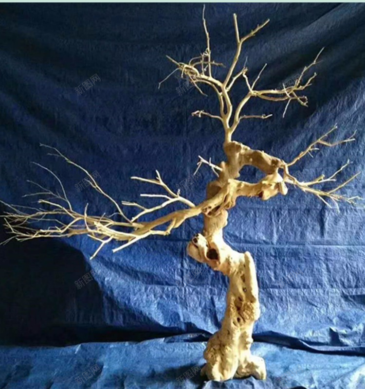 天然枯树白色树枝橱窗隔断漫咖啡装饰树去皮造型树干室jpg设计背景_88icon https://88icon.com 天然 枯树 白色 树枝 橱窗 隔断 咖啡 装饰 去皮 造型 树干