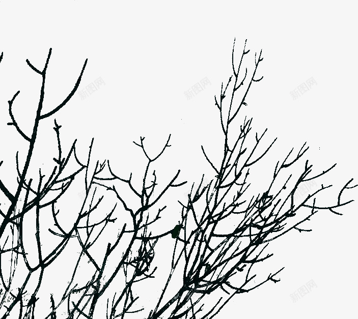 叶根叶树植物免扣png免抠素材_88icon https://88icon.com 叶根叶 植物 免扣