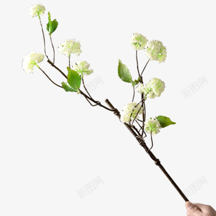 仿真花客厅花艺雪球花假花装饰摆件餐桌插花花束轻奢摆png免抠素材_88icon https://88icon.com 仿真 客厅 花艺 雪球 花假 装饰 摆件 餐桌 插花 花束 轻奢