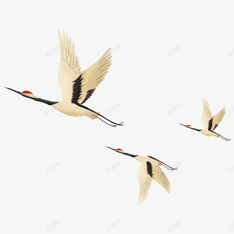 中国风仙鹤丹顶鹤古风古典免扣透明装饰PS设计png免抠素材_88icon https://88icon.com 中国 国风 仙鹤 丹顶鹤 古风 古典 免扣 透明 装饰设计