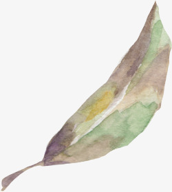 欧式华丽手绘水彩封面花树叶植物包装装饰信封印刷矢量png图片下载 欧式华丽手绘水彩封面花树叶植物包装装饰信封印刷矢量素材