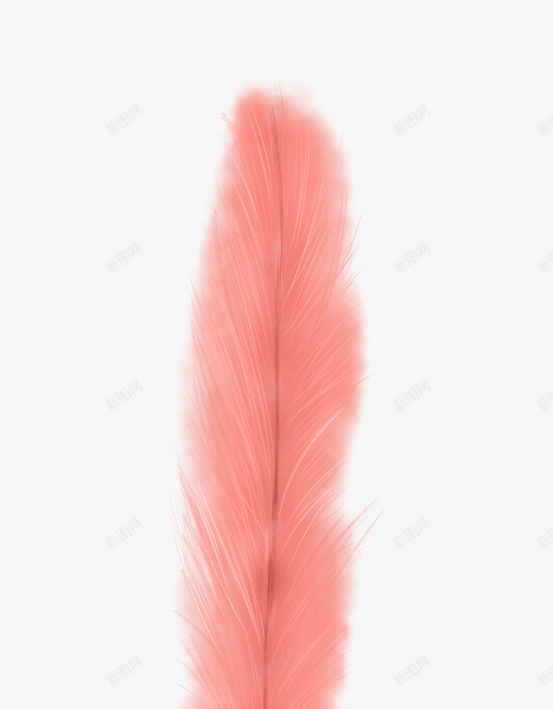 粉儿羽毛png免抠素材_88icon https://88icon.com 粉儿 羽毛