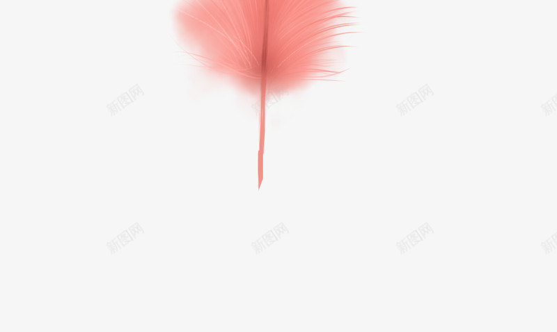 粉儿羽毛png免抠素材_88icon https://88icon.com 粉儿 羽毛