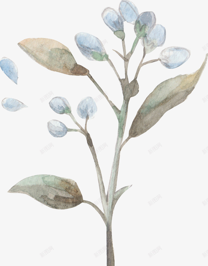 欧式华丽手绘水彩封面花树叶植物包装装饰信封印刷矢量png免抠素材_88icon https://88icon.com 欧式 华丽 手绘 水彩 封面 树叶 植物 包装 装饰 信封 印刷